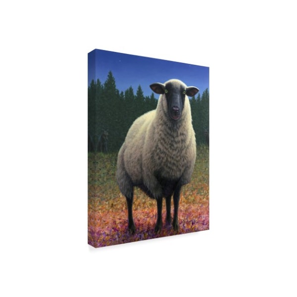 James W. Johnson 'Lost Sheep' Canvas Art,18x24